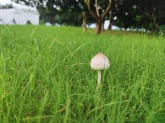 -福建鲤鱼洲酒店