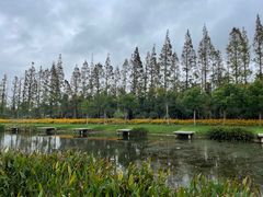 -前小桔亲子创意农场·草莓采摘·露营烧烤