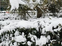 -西二旗(地铁站)