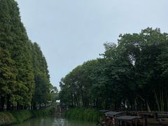-乌镇东栅景区