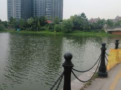 android_upload_pic-美兰湖景区