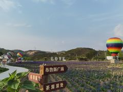 -薰衣草NE庄园