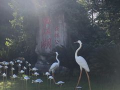 -广州白江湖森林公园