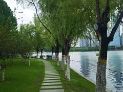 -天鹅湖体育公园