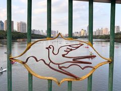 -南宁南湖公园