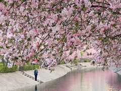 -元大都城垣遗址公园
