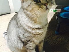 -小时光咖啡馆(开森度假森林店)