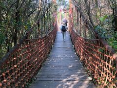 -上海吴淞炮台湾国家湿地公园