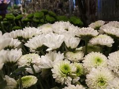 -BOBLOOM花店(宝龙旭辉广场店)