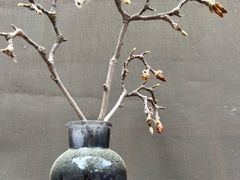 -国家图书馆·古籍馆