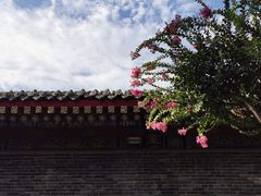 -西安市广仁寺