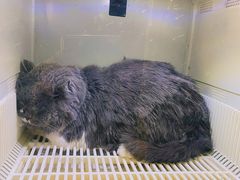 -沐沐家宠物(成寿寺店)