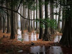 -东湖磨山景区