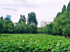 -月牙潭公园