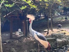 -黔灵山公园