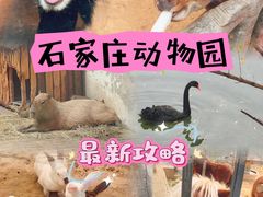 -石家庄市动物园