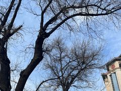 -王府井天主教堂