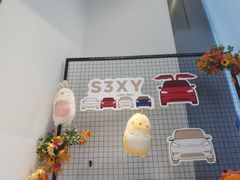 -TESLA 特斯拉(广州天环广场体验店)