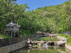 -白水寺森林公园