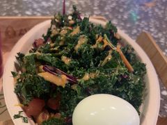 -油梨树AVOCADO TREE(嘉里中心店)