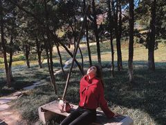 -八大关景区