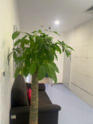 -丰联丽格医疗美容·联合丽格眼整形中心