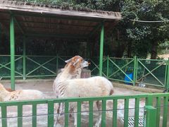 -杭州野生动物世界