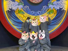 -E+有冰工厂·昆仑寒宫2(五角场店)