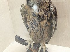 -下渚湖国家湿地公园科普馆