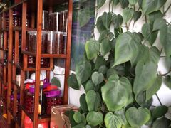 -呼吸森林·生态农庄农家乐私房菜