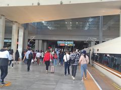 -张树军海鲜(王府壹号店)