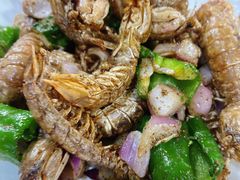 皮皮虾-大学城夜市大排档(凤栖路店)
