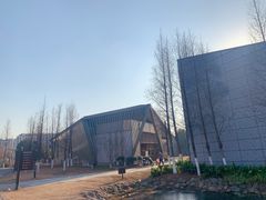 -田园东方蜜桃村的田野营地