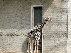 -石家庄市动物园