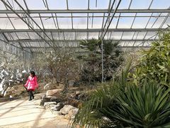 -北京鹫峰国家森林公园