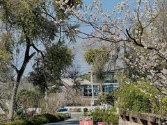 -桃源山庄·水蜜桃采摘·柴火鸡·烧烤团建(龙泉山店)