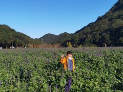 -广州市石门国家森林公园