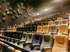 -星河寰宇IMAX影城(星河WORLD·COCO Park店)