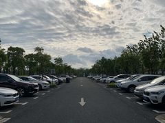 -春花秋色城市公园