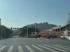 -上海佘山国家森林公园西佘山园