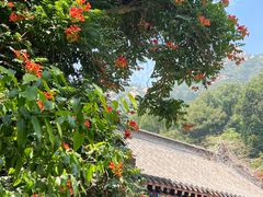 -青岛崂山太清宫