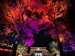 -雅达·阳羡溪山小镇中心