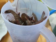 -阿兰姐海鲜店