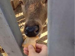 iphone_upload_pic-意大利农场度假村