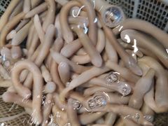 -五姊妹海鲜(火车站店)