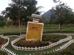 -亚龙湾国际玫瑰谷
