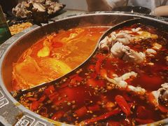 美蛙-销魂美蛙鱼头火锅(上海首店)