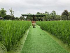 -洪湖家庭农场·团建·露营·会议