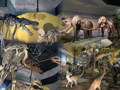 -湖南省地质博物馆