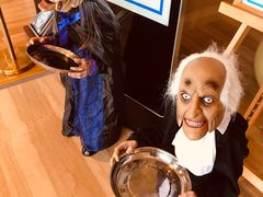 -视界美食自助餐厅·石家庄希尔顿酒店